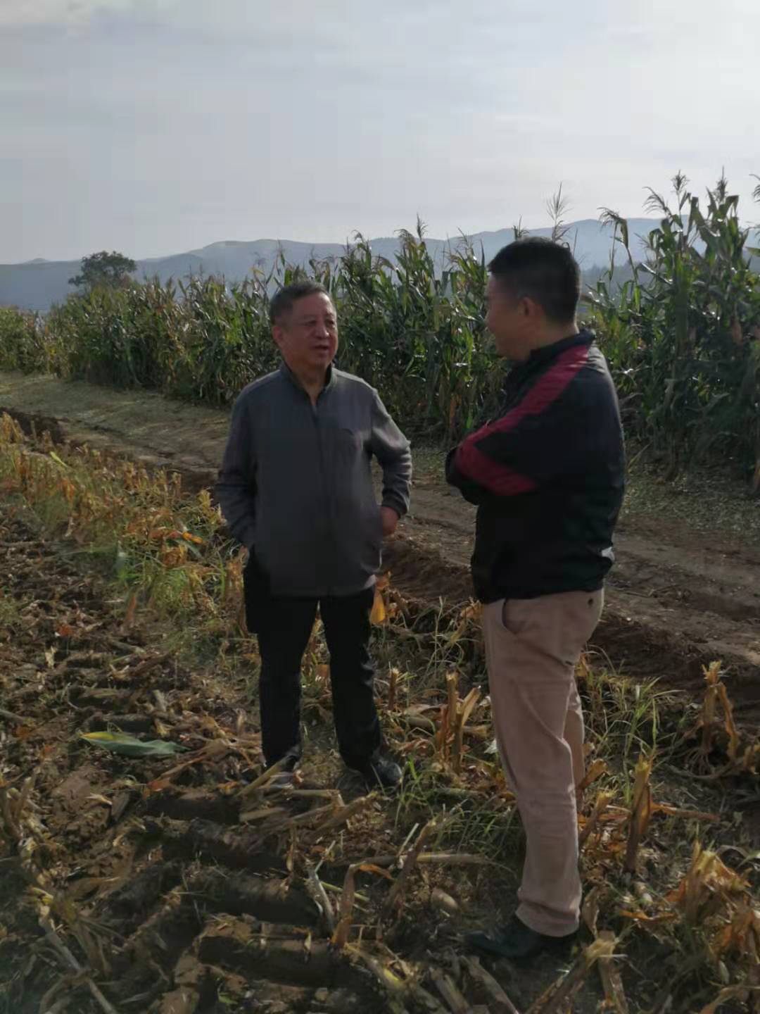 5d8c53ee92662.jpg news19028-2.jpg