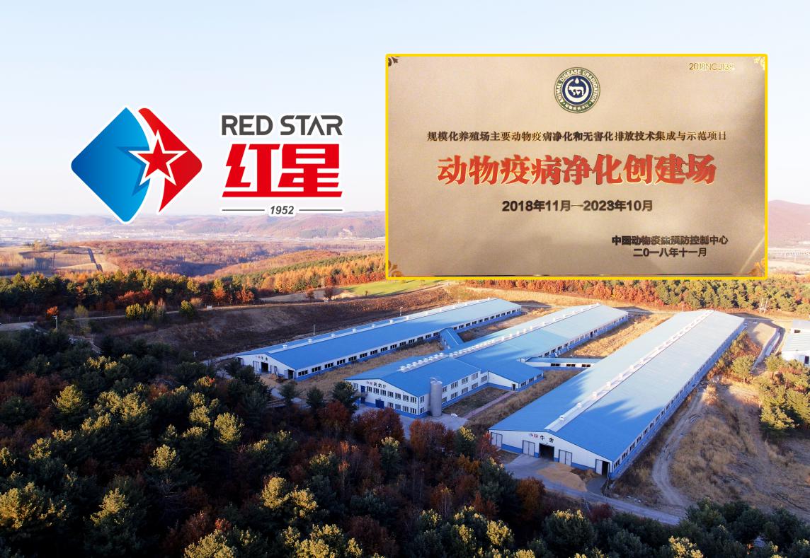 5dad6adaad663.jpg 1.jpg