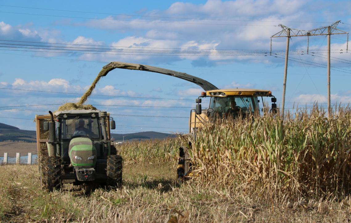 5dafb80653716.jpg 1.jpg