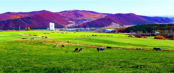 5dbd828bb8962.jpg 6.jpg