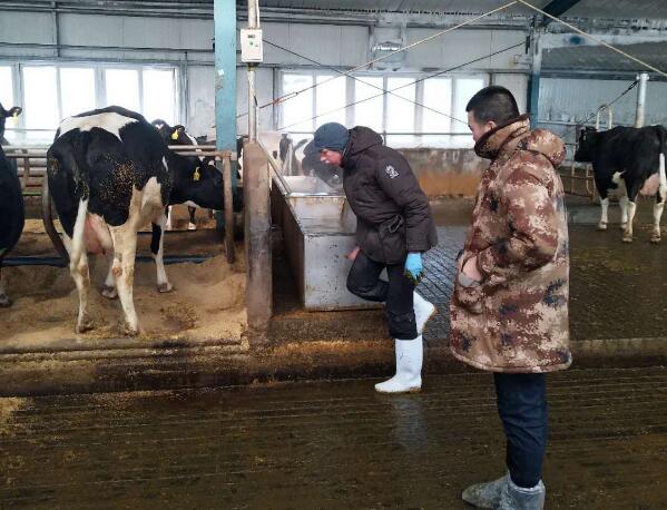 5dbdb9675f02b.jpg 4.jpg