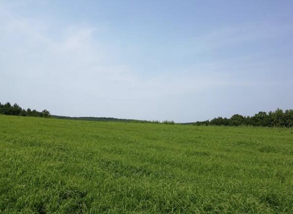 5dbdd123f4021.jpg 2.jpg