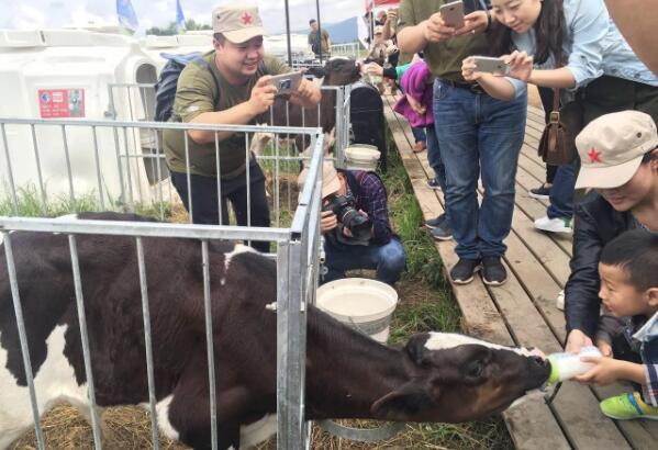 5dbdd1a53851e.jpg 6.jpg