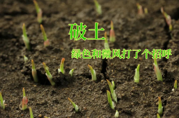 610cd7a27de99.png 微信圖片_20210806143200.png