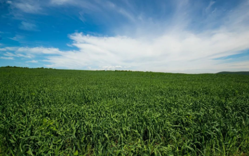 610cec6ebe53d.png 微信圖片_20210806160100.png