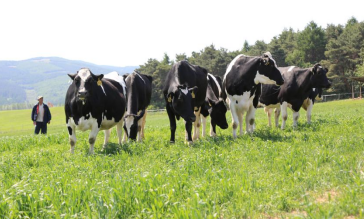 6143ef88e79bb.png 微信圖片_20210917092949.png