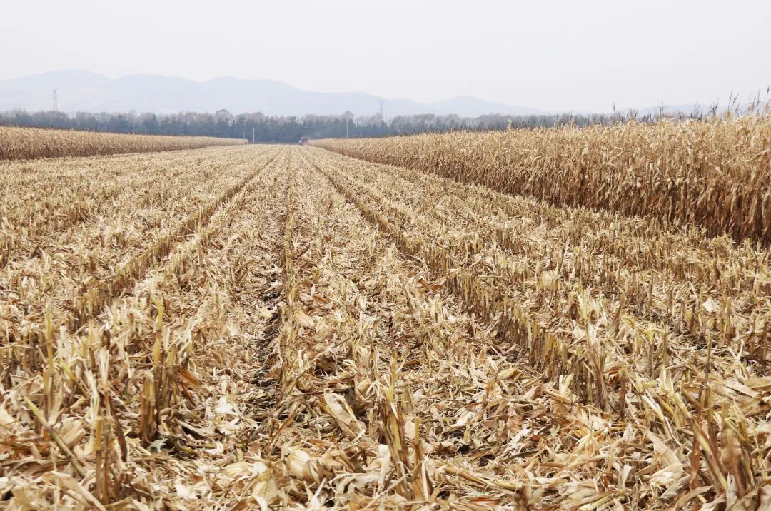 6373098b18e0f.jpg 微信圖片_20221115113432.jpg