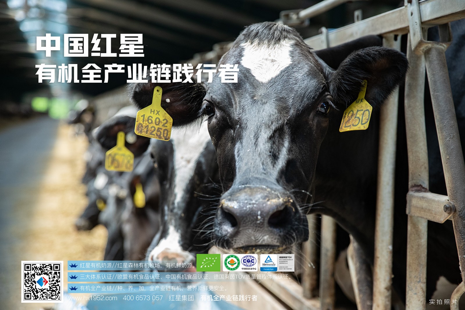 638ee879cdf23.jpg 微信圖片_20200916105146.jpg